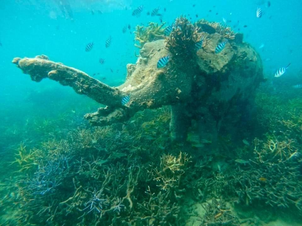 Koh Kood Cabana Ban Lak Uan Eksteriør billede